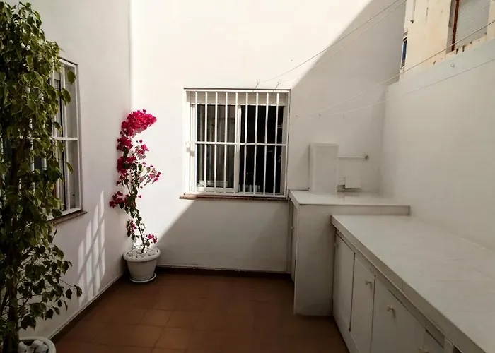 Apartamento 250 M From Locos Torrevieja